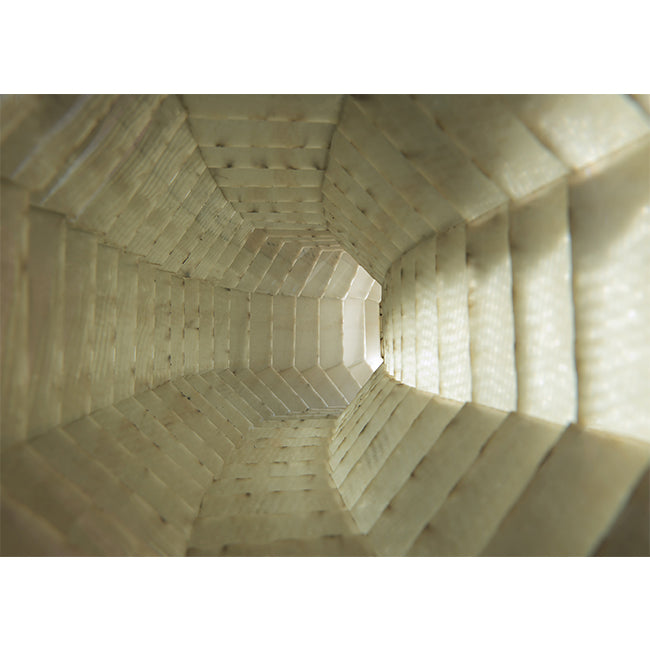 Ali: edições - Lucia Koch