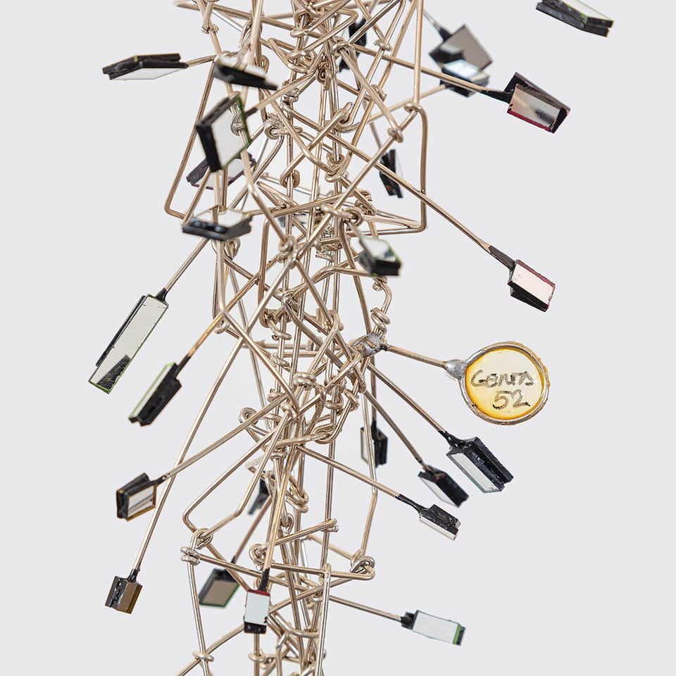 Gustavo Genta - Satélites verticales 