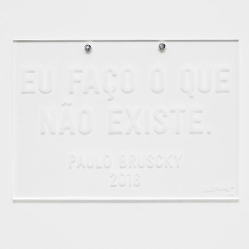 Paulo Bruscky, Eu faço o que não existe