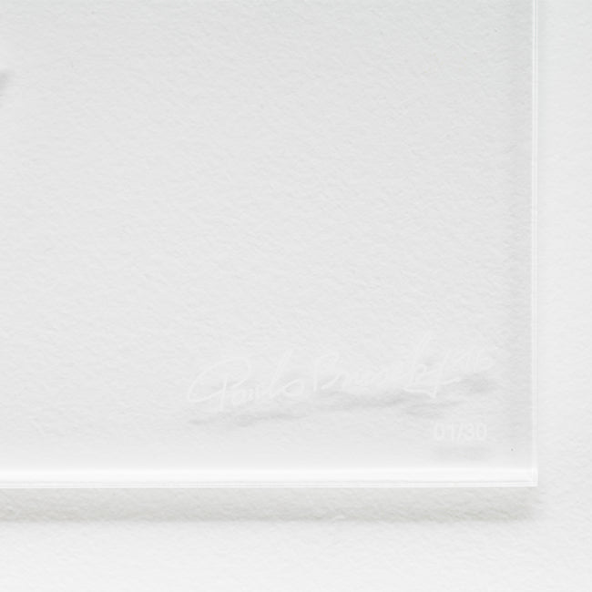 Paulo Bruscky, Eu faço o que não existe