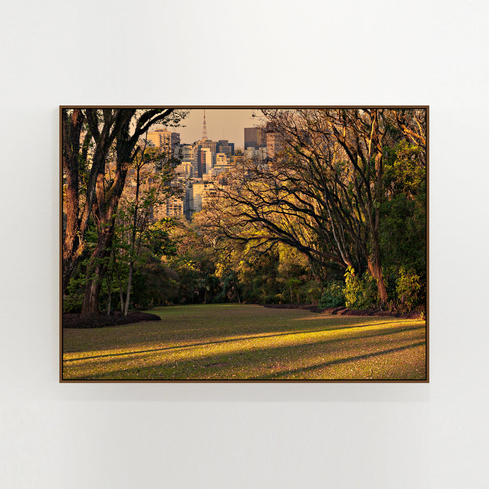 Lucas Lenci | Alpha City #02