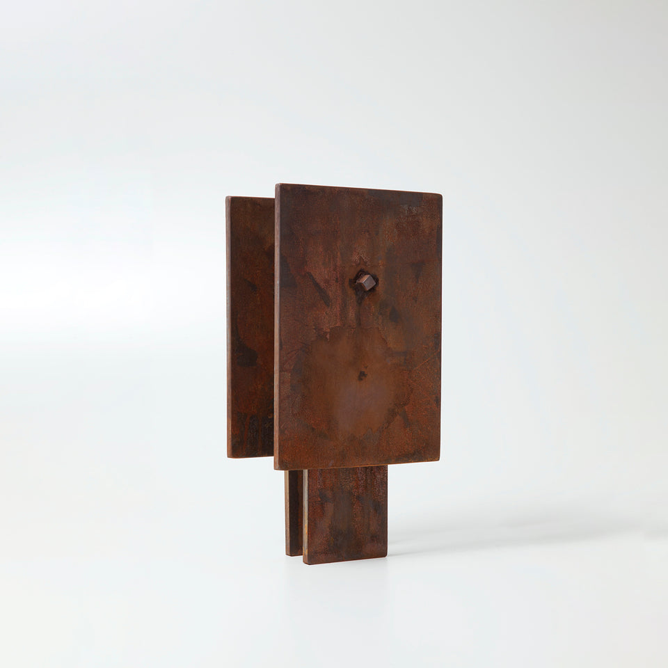 Raul Mourão, Sem título