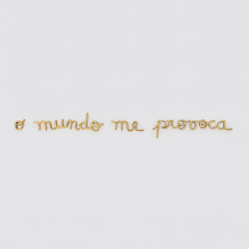 O mundo me provoca